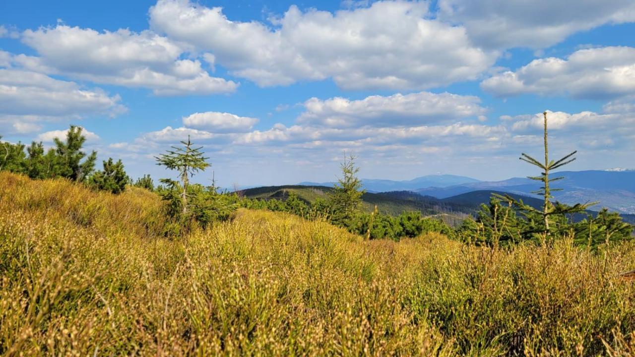 Superior Laguna Beskidow 3 Rooms! Sauna&Gym! Air Condition! Zarzecze  Buitenkant foto